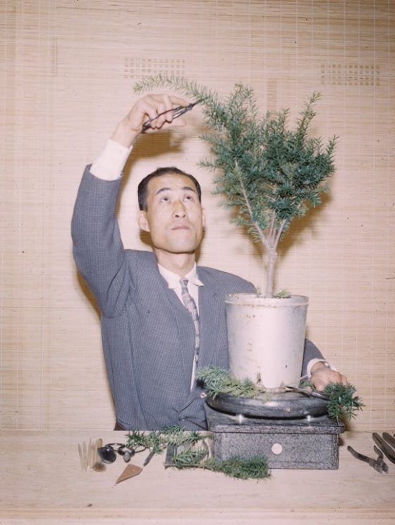 man showing a demonstration of pruning a bonsai tree during a class