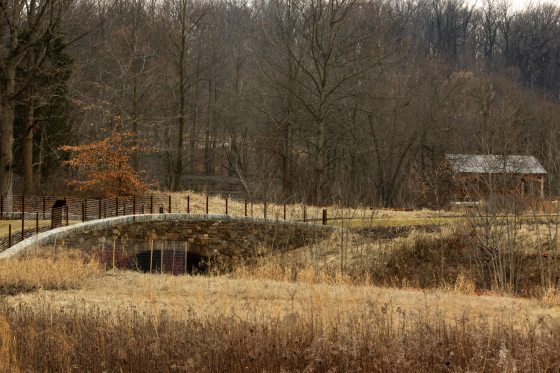 field of dried grass in the fall with a bridge in the background