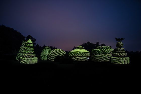 topiary trees illuminated in lights 