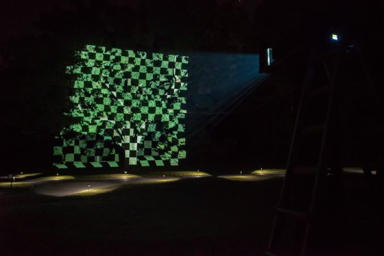 green checkered lights on a tree with a black back drop