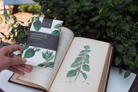 a chocolate bar next to a book with a botanical illustration of mint