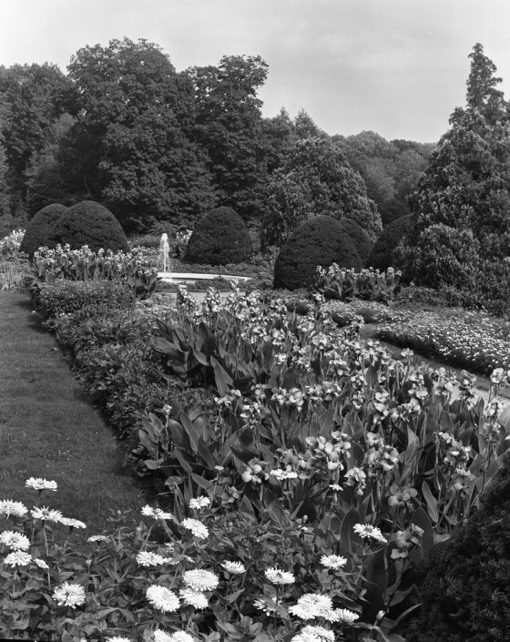 Black and white image showing a garden bed