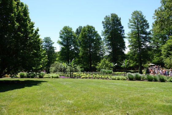 A field with large trees in the foreground