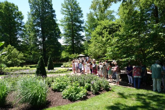 a long line of people waiting in a garden 