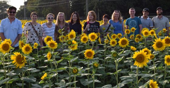 A group of people posing for a photograph in a sunflower field