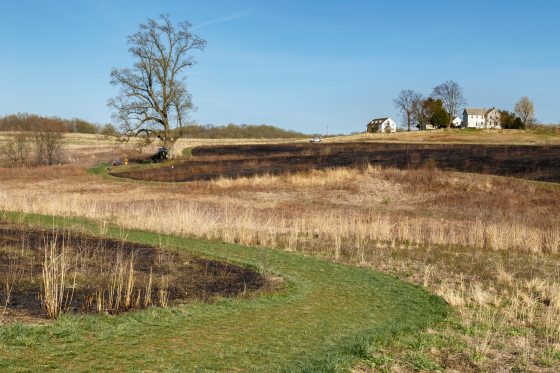 view of the meadow garden after a controlled burn