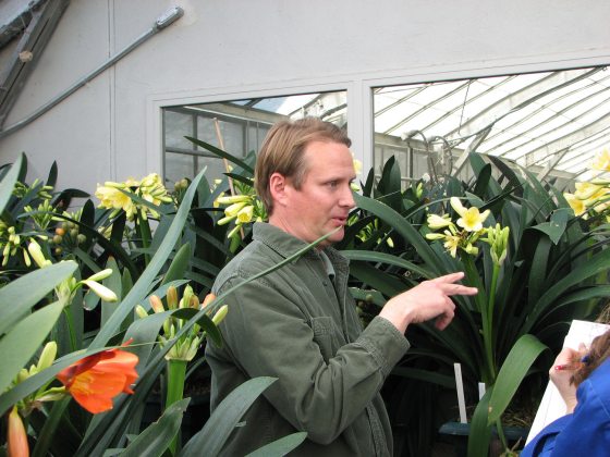 man standing next to multiple in bloom yellow and orange clivia flowers