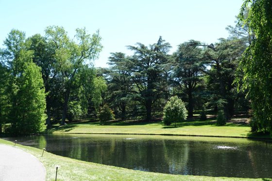 A mall pond with lush trees in the foreground 