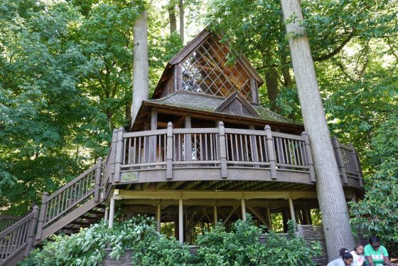 a wooden treehouse immersed in a forest of trees