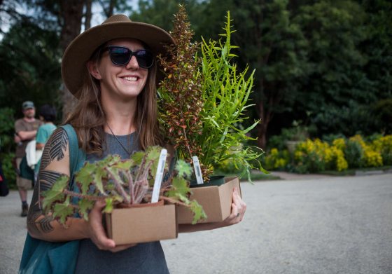 a person holding boxes of plants