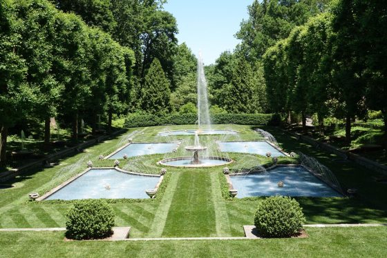 a group of fountains lined with two rows of trees 
