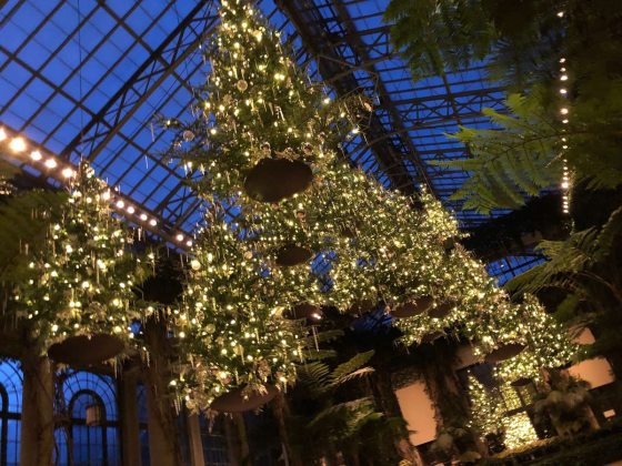 nighttime view of lit Christmas trees suspended from the ceiling