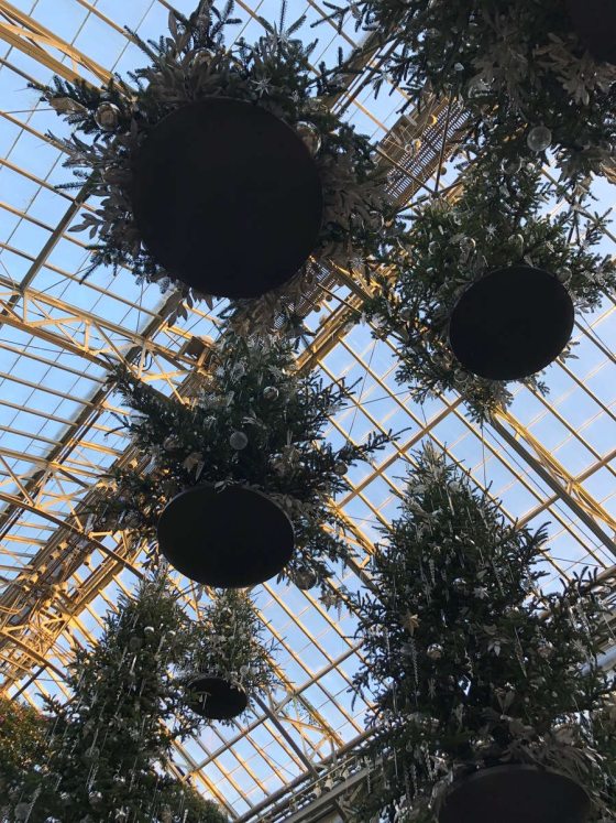 a view from underneath suspended Christmas trees