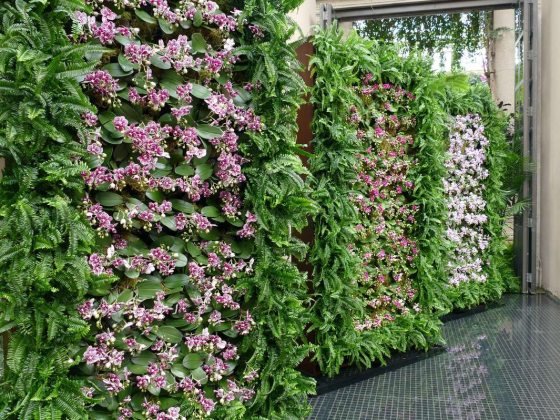 three wall panels of orchids