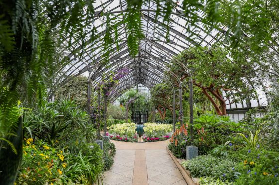 landscape image of the Mediterranean Garden at Longwood