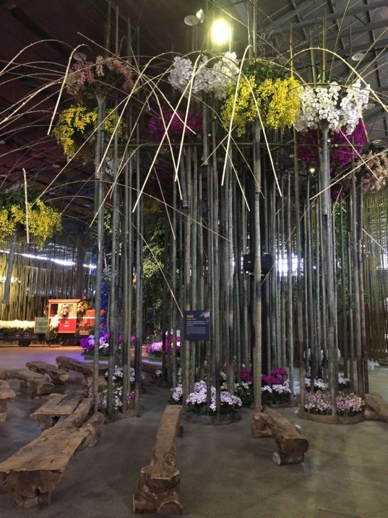 twenty foot bamboo with orchids at the top to resemble fireworks