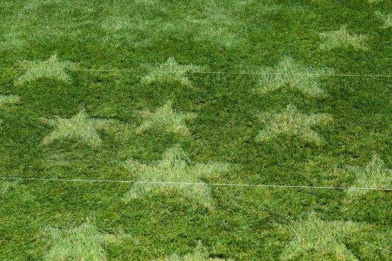 stars mowed into a grass field