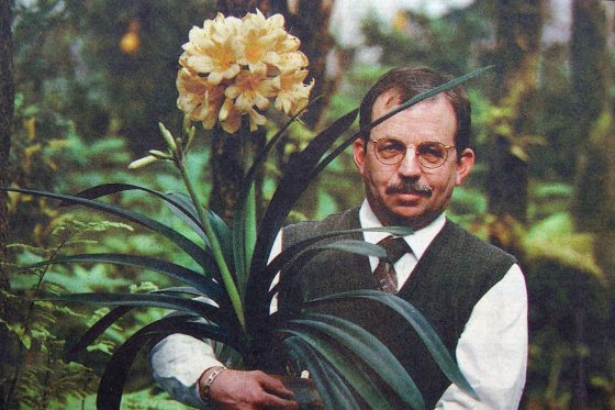 A person with glasses stands holding a large yellow Clivia plant in a pot