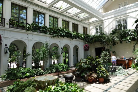 a sunny indoor conservatory with many glass windows
