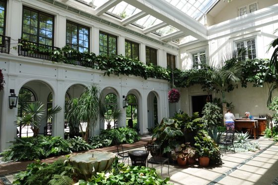 a sunny indoor conservatory with many glass windows 