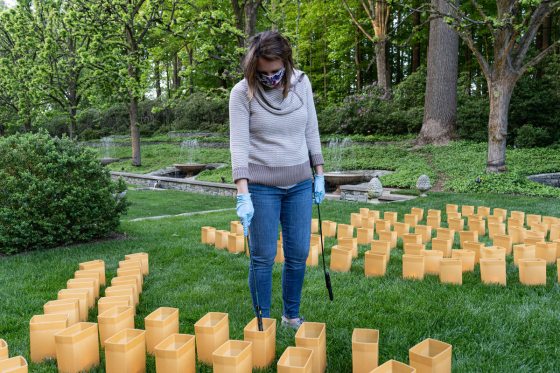 A person surrounded by luminarias reaches down to light one