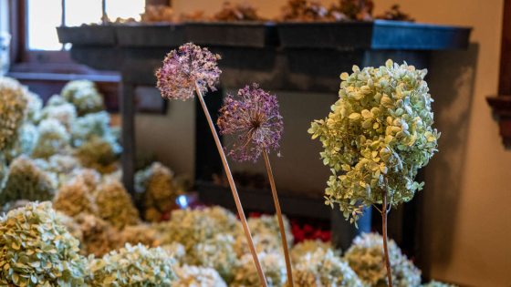 The Beauty (and Possibilities) of Dried Flowers