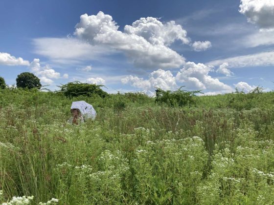 A botanist carries a polka-dotted umbrella in a meadow of tall plants