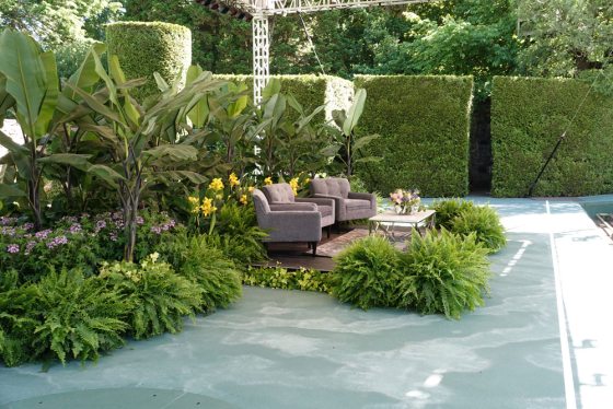 stage decorated with Boston ferns