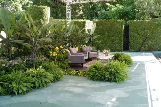  stage decorated with Boston ferns