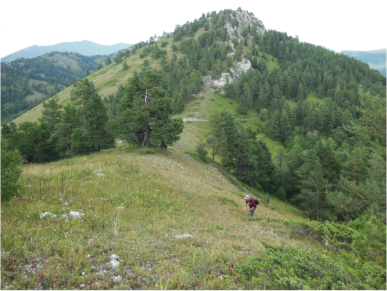 view of mountains person in far back