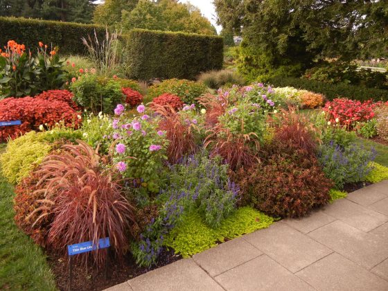 a vibrant flower bed display with red, pink, purple and green flowers