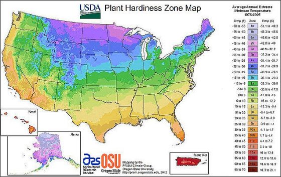 a colored map of plant hardiness zones in the United States