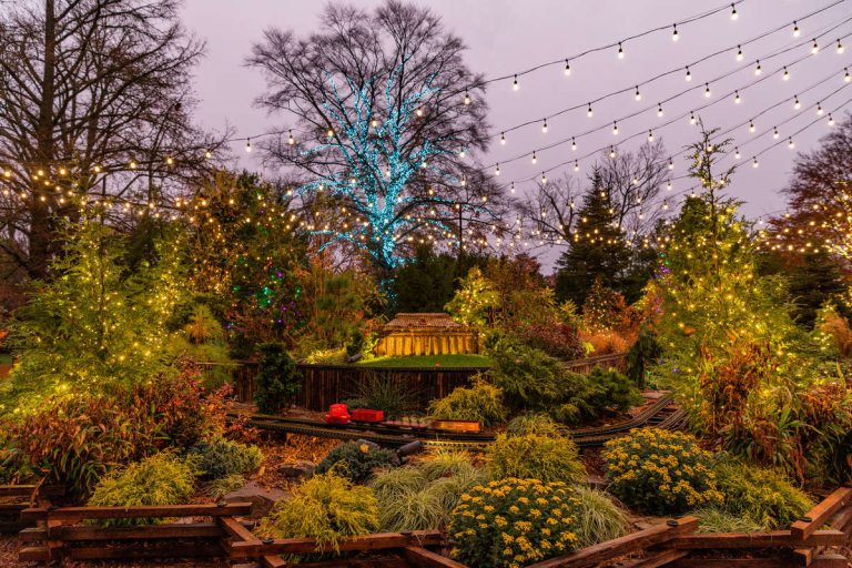 How to Photograph Holiday Lights | Longwood Gardens