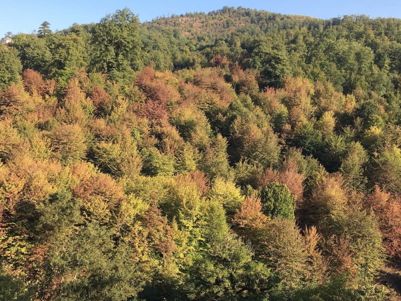 Plant Exploration in Azerbaijan | Longwood Gardens