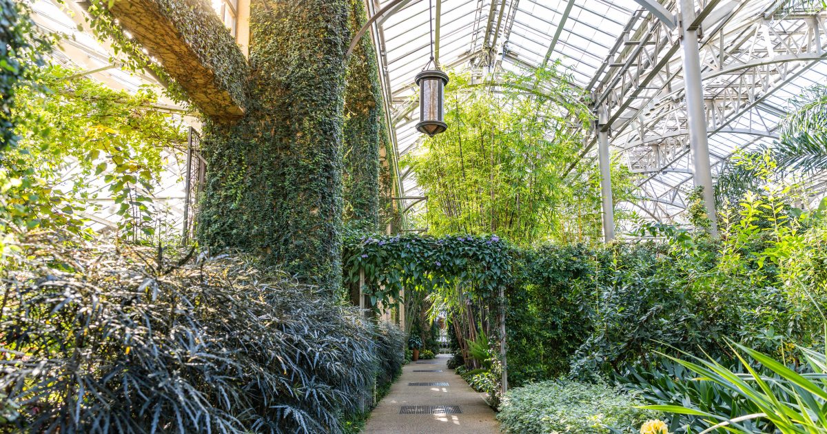 East Conservatory | Longwood Gardens