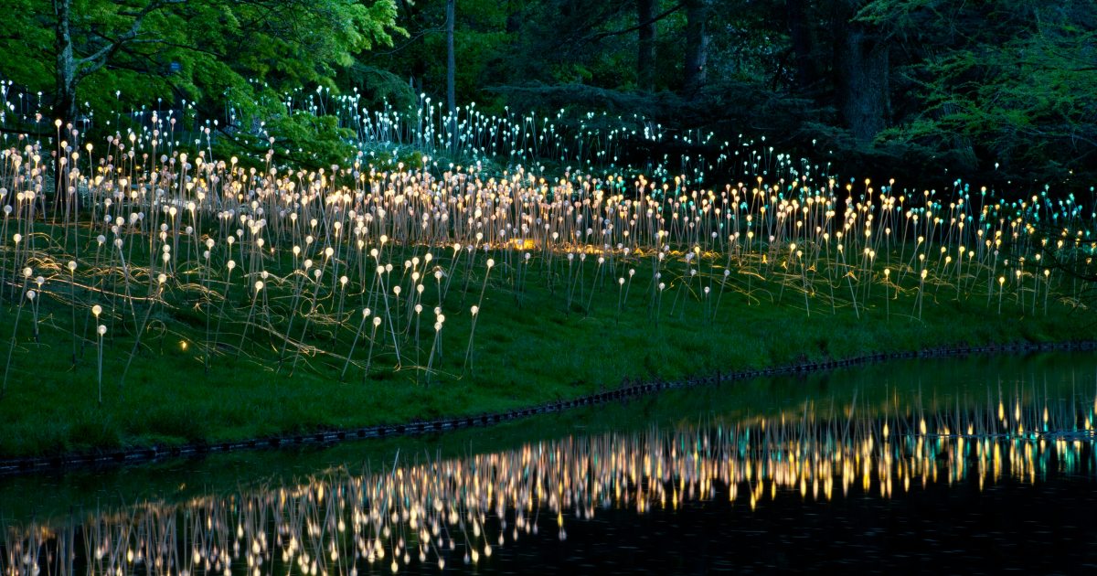 Illuminating Gardens | Longwood Gardens