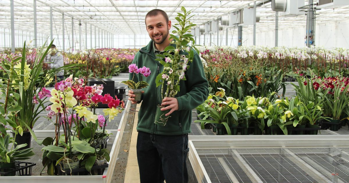 リトグラフ Untitled Vigued 限定版 145/200 花咲く木立 A Year in the Life of our Orchid Grower | Longwood Gardens