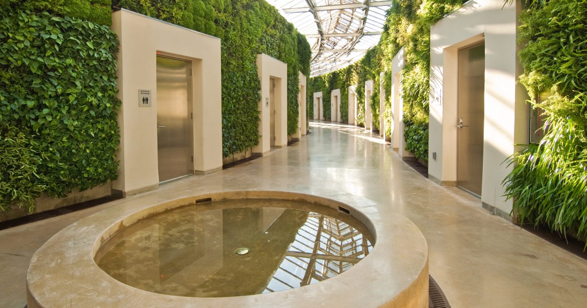 The Unsung (and Unseen) Heroes of our Green Wall | Longwood Gardens