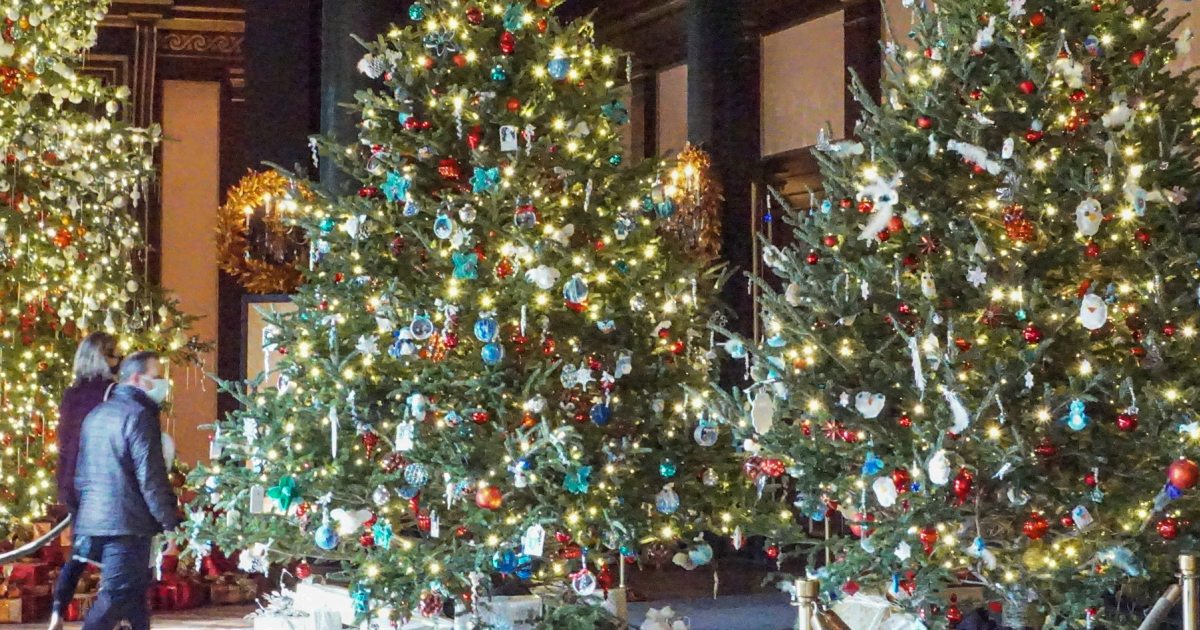 Palmyra Nj 2022 Christmas Tree Lighting 2022 Children's Christmas Trees | Longwood Gardens