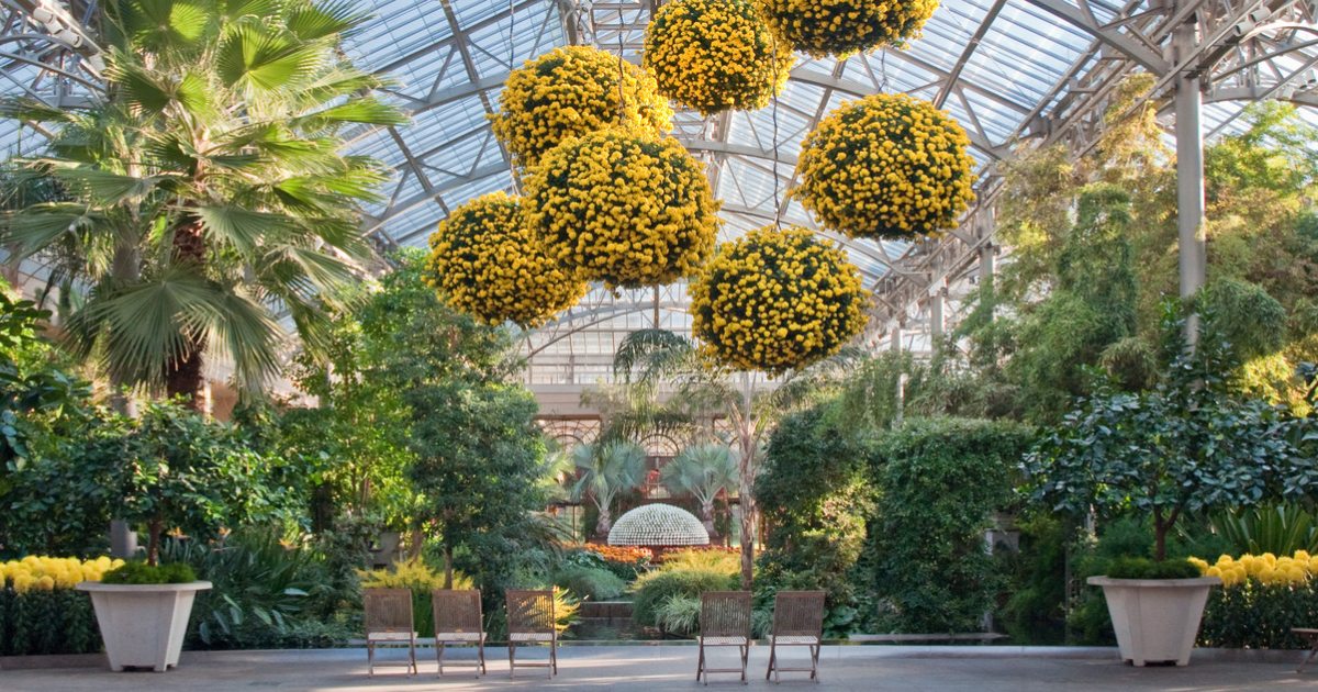 Horticulture Longwood Gardens