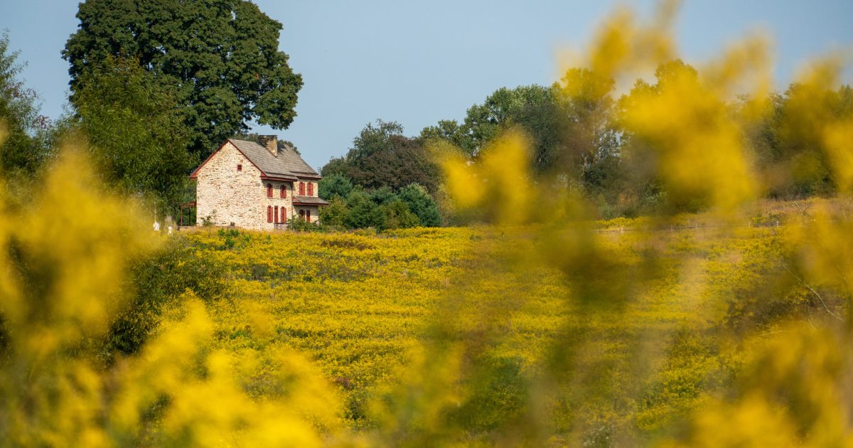 Autumn's Colors | Longwood Gardens