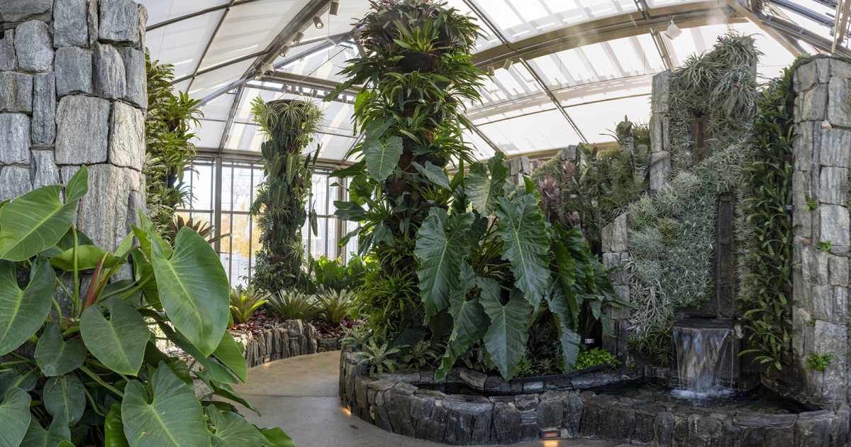 Cascade Garden | Longwood Gardens