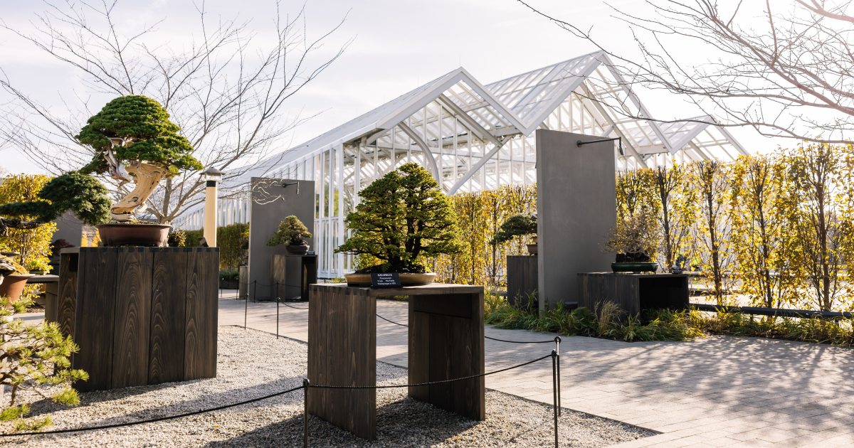 Bonsai Courtyard | Longwood Gardens