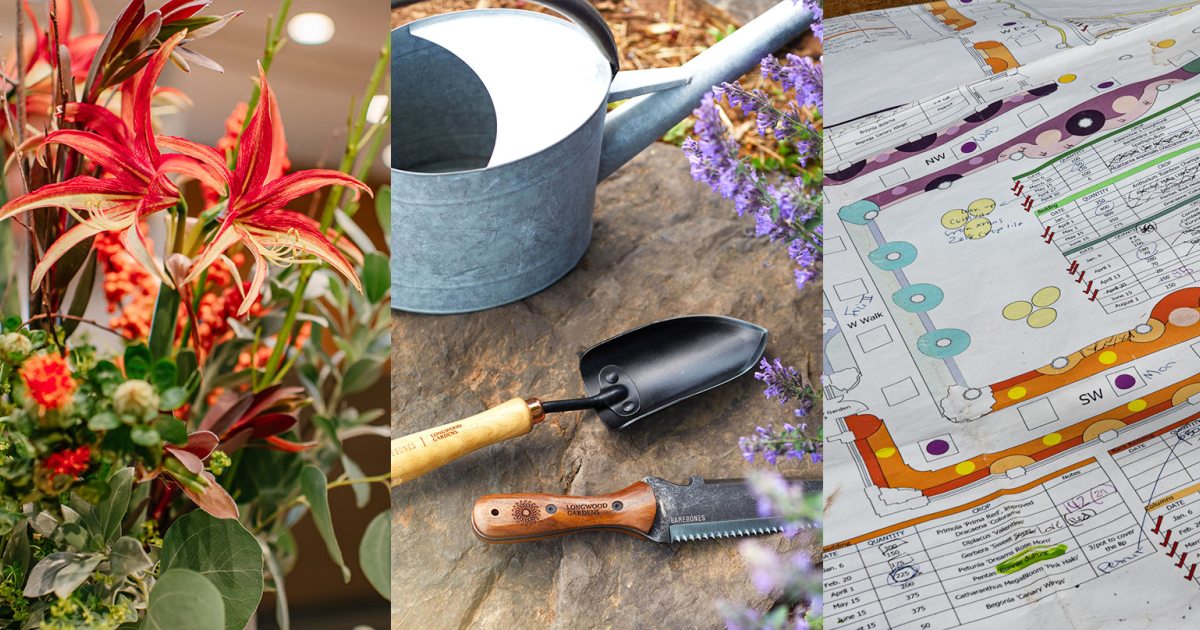 Continuing Education Certificate Programs Longwood Gardens