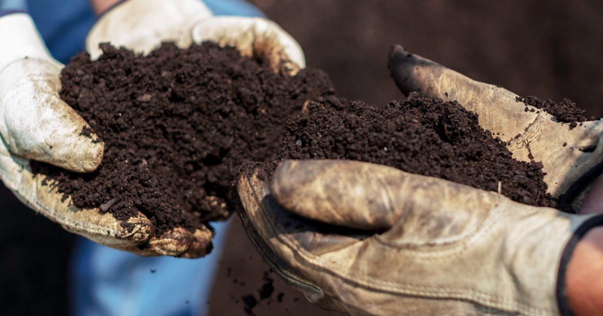 Gardening & Horticulture