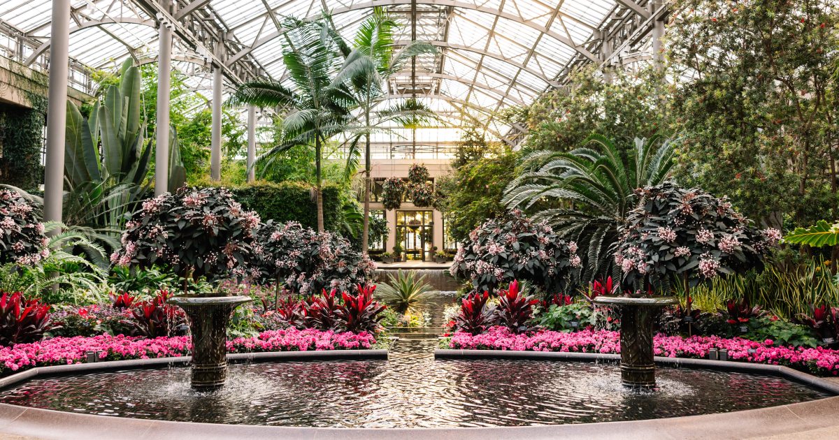 Winter Wonder | Longwood Gardens