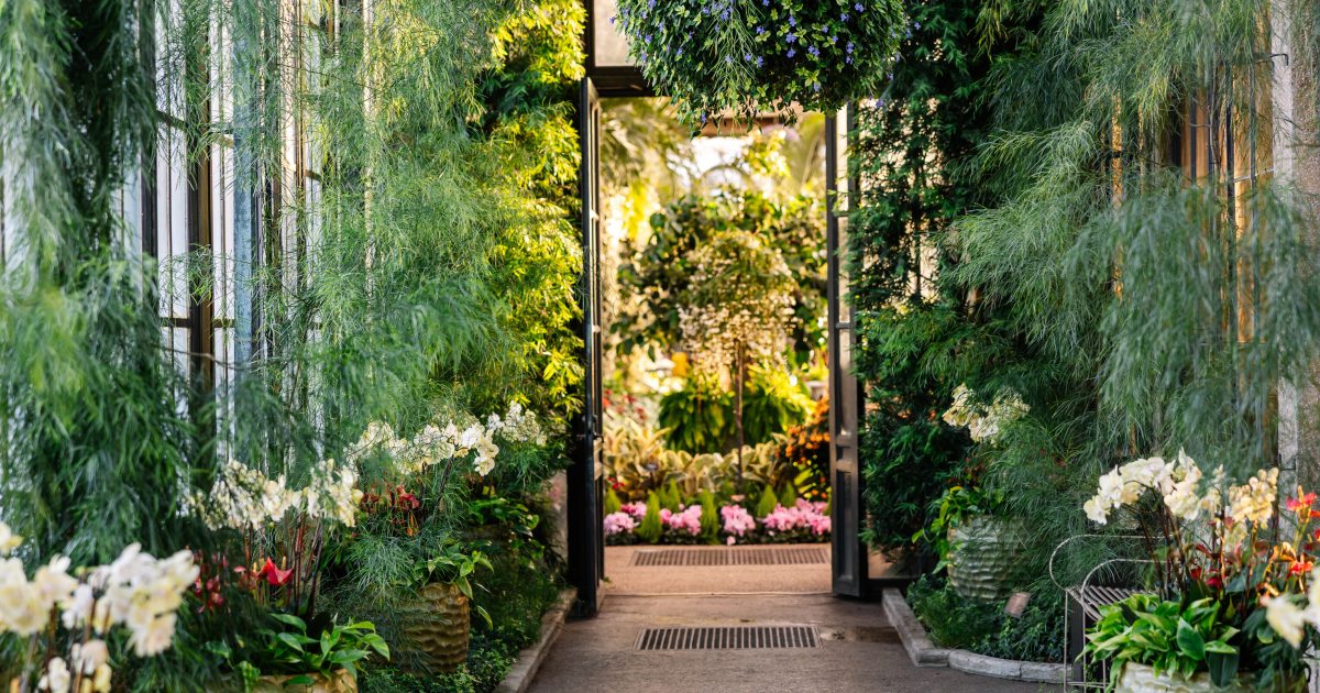 Winter Wonder | Longwood Gardens