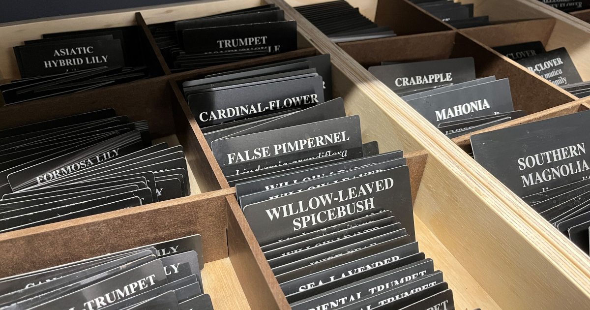 Name that Plant: Inside the Plant Label Room