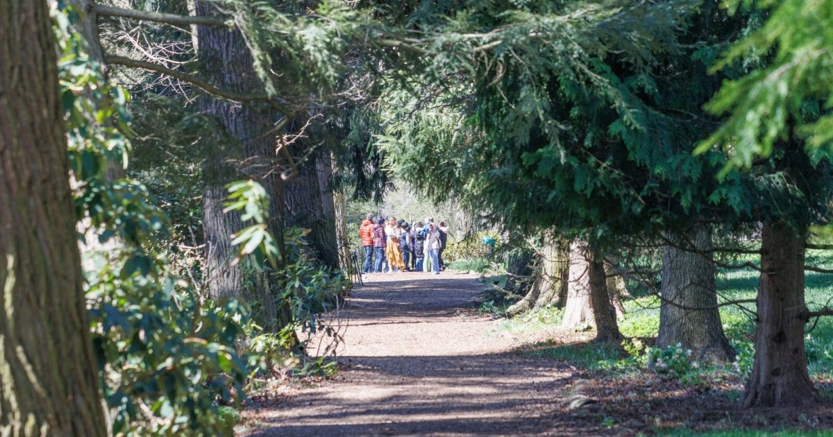 Canopy and Culture, A Dual Learning Experience | Longwood Gardens