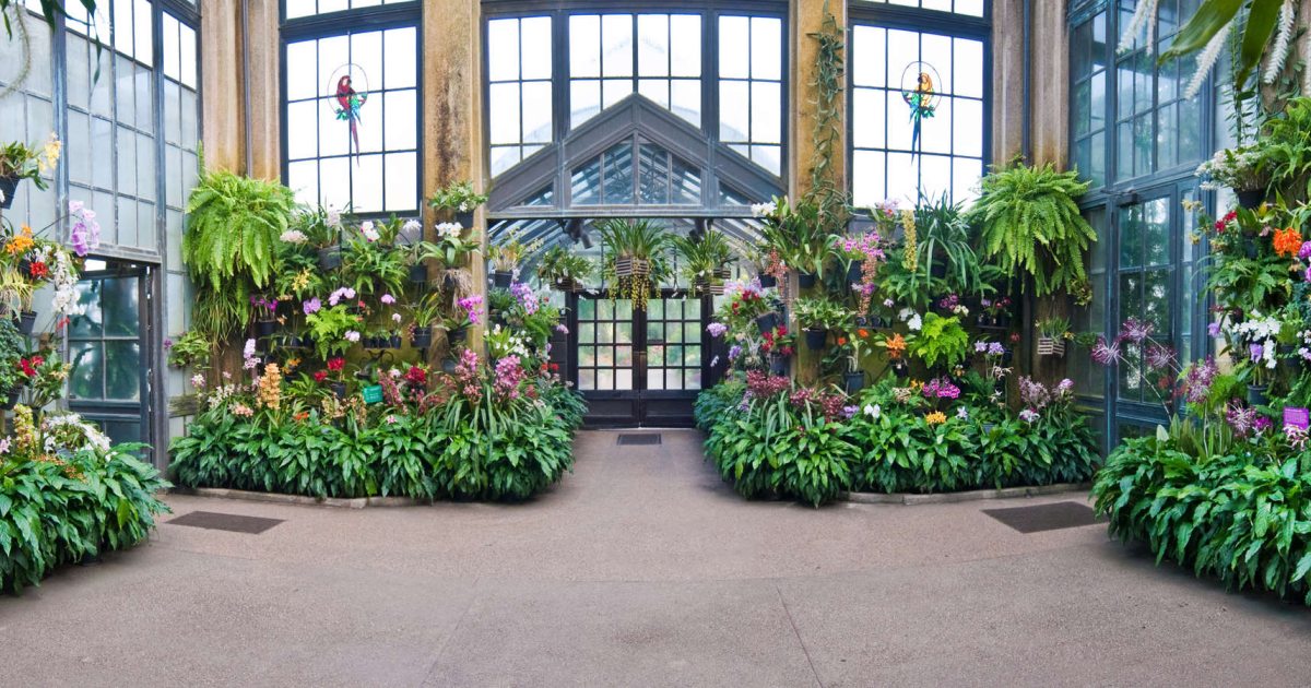 Navigating Our Orchid House | Longwood Gardens
